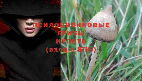 молекула духа Елабуга