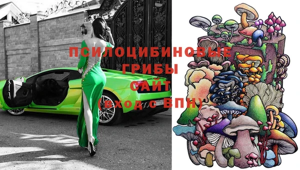 молекула духа Елабуга