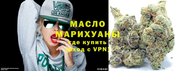 молекула духа Елабуга