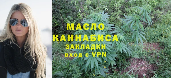 молекула духа Елабуга