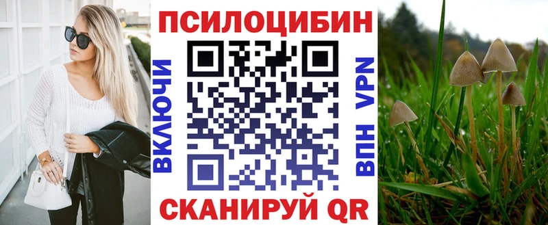 даркнет наркотические препараты Сухой Лог Псилоцибиновые грибы ЛСД